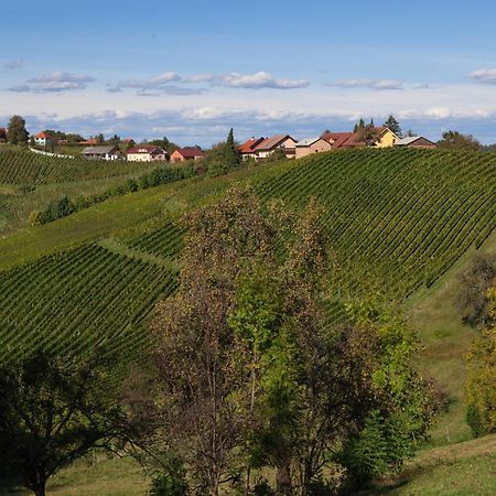 Wine & Tourism Bracko Bed and Breakfast Spodnji Jakobski Dol Buitenkant foto