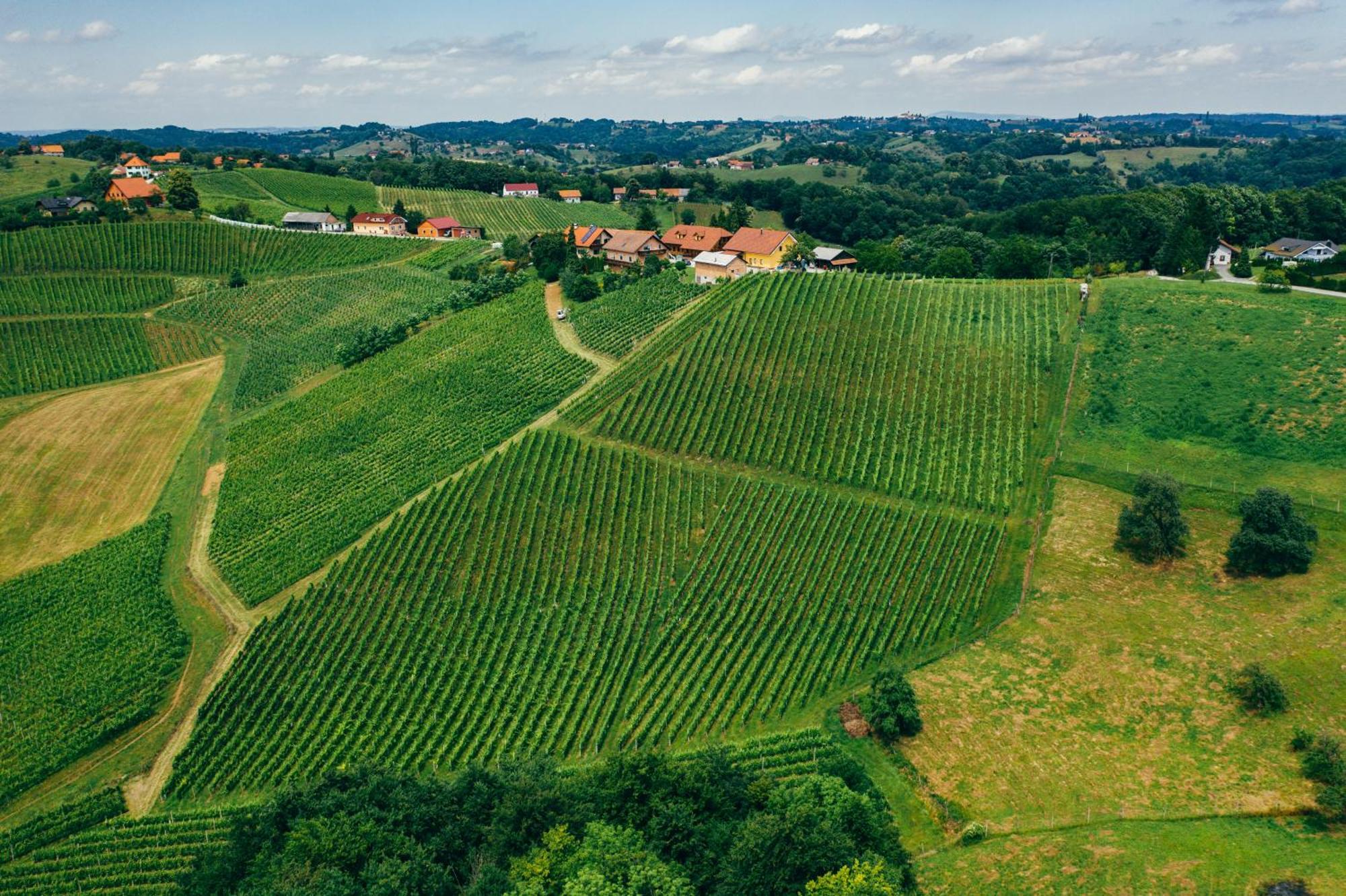 Wine & Tourism Bracko Bed and Breakfast Spodnji Jakobski Dol Buitenkant foto