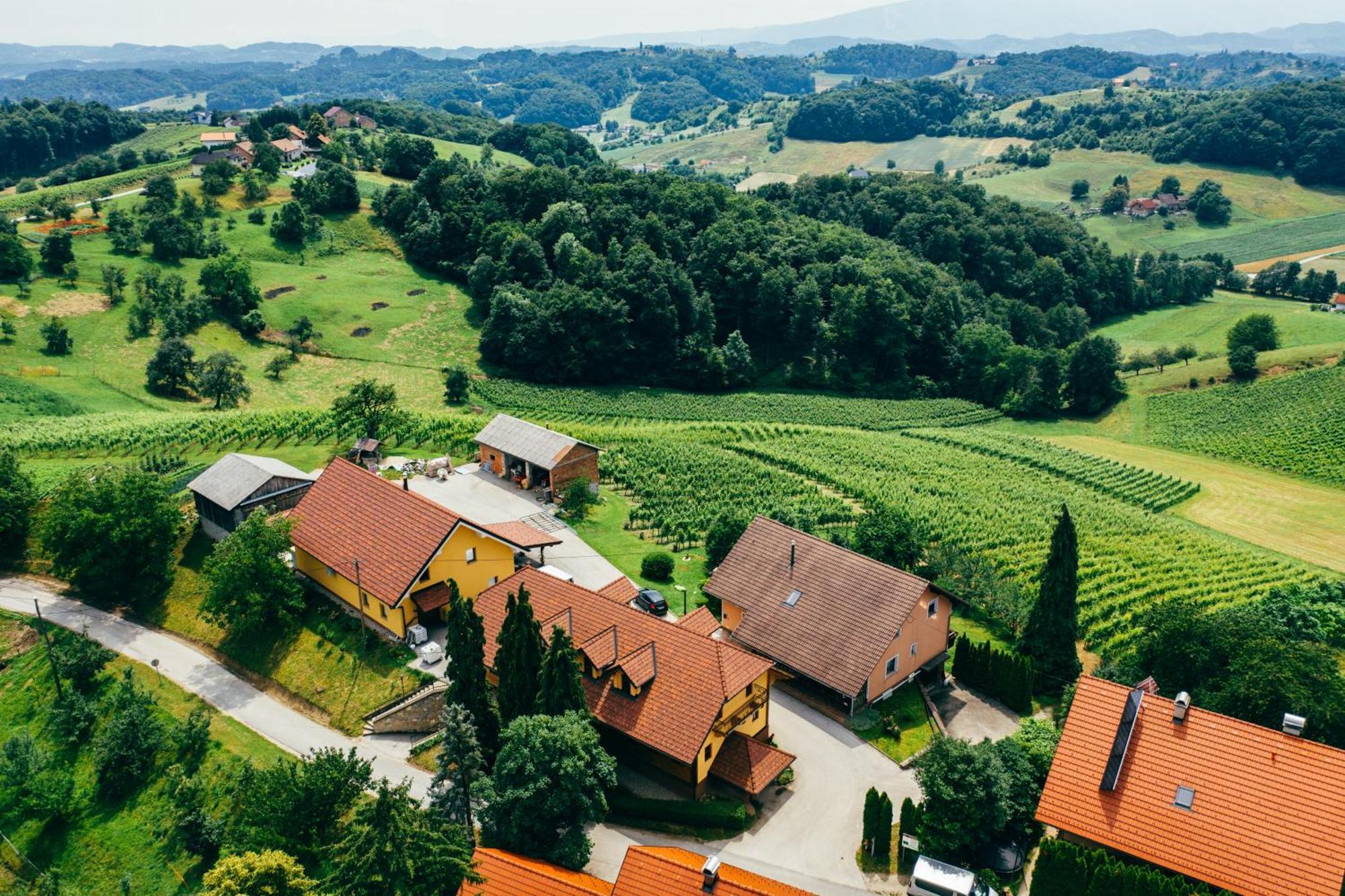 Wine & Tourism Bracko Bed and Breakfast Spodnji Jakobski Dol Buitenkant foto
